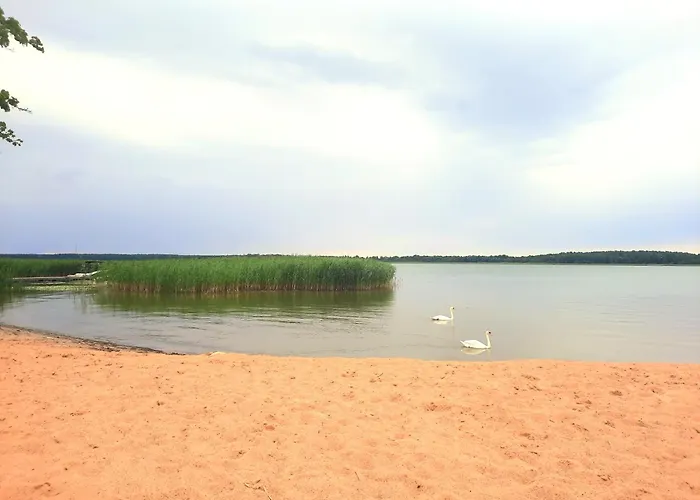 Apartment Zlote Sady Na Mazurach Z Widokiem Na Jezioro